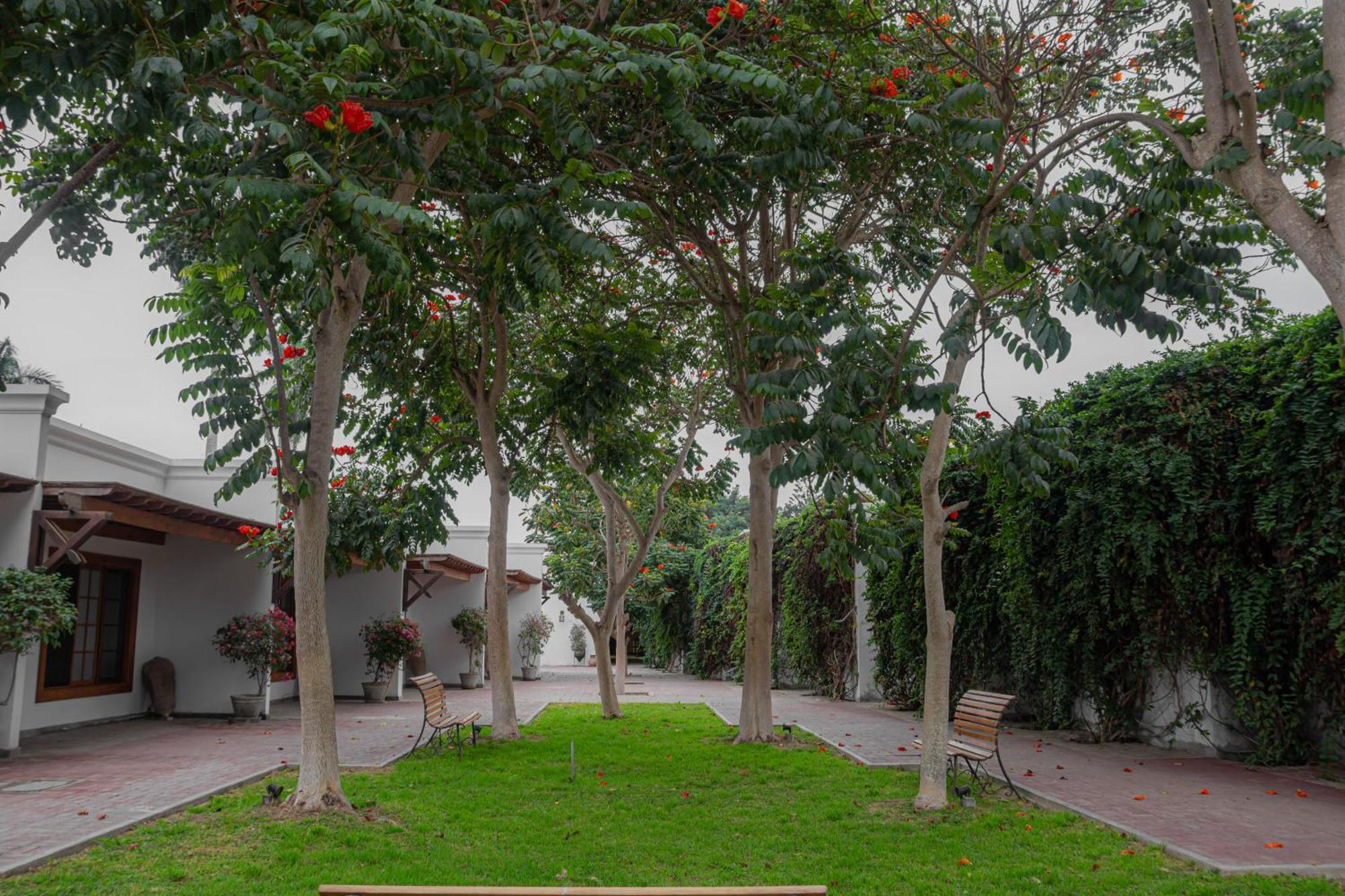 Casa Hacienda San Jose Hotel Chincha Alta Ngoại thất bức ảnh